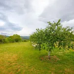 Casa Di Oliva-house With Heated Pool & Jacuzzi In Trilj, Croatia *