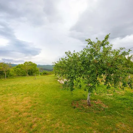 Casa Di Oliva-house With Heated Pool & Jacuzzi In Trilj, Croatia *