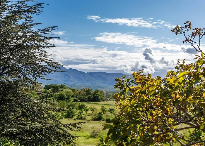 Villa Casa Di Oliva-house With Heated Pool & Jacuzzi In Trilj, Croatia Trilj