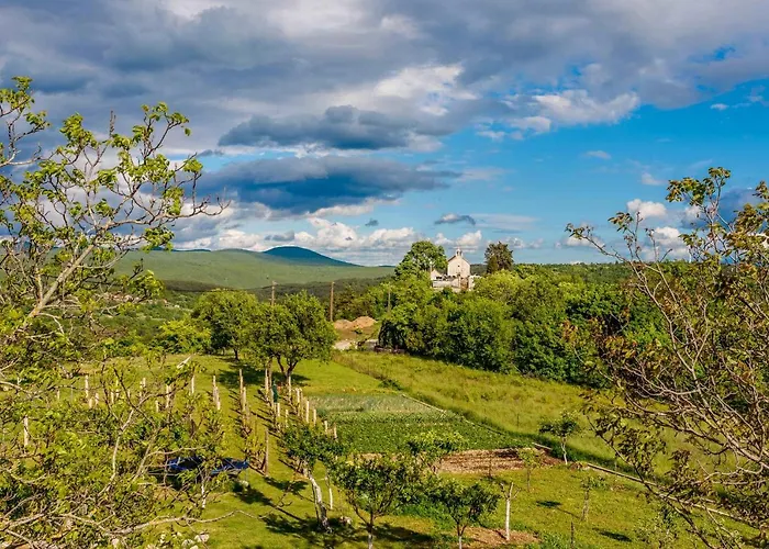 Villa Casa Di Oliva-house With Heated Pool & Jacuzzi In Trilj, Croatia *