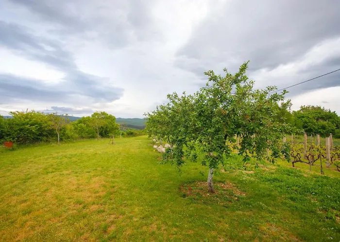 Casa Di Oliva-house With Heated Pool & Jacuzzi In Trilj, Croatia *