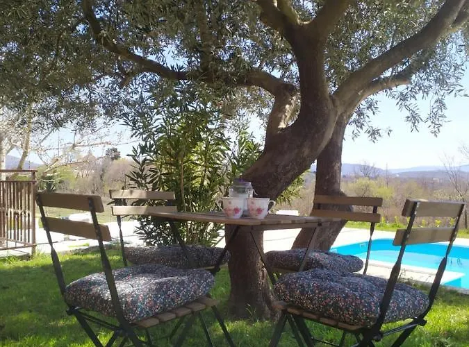 Villa Casa Di Oliva-house With Heated Pool & Jacuzzi In Trilj, Croatia Trilj