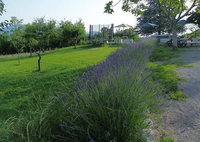 Casa Di Oliva-house With Heated Pool & Jacuzzi In Trilj, Croatia * Trilj